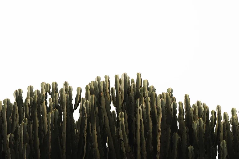 Menciptakan Materi Iklan (Kreatif) Yang Memikat: Menarik Perhatian Dalam Sekejap Mata